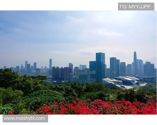 深圳飞盘队的团队协作变革引发热议与思考 深圳飞盘队的团队协作变革引发热议与思考